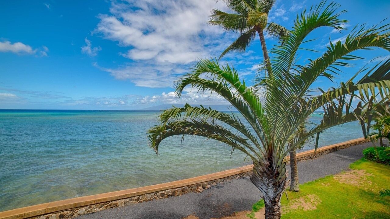Photo of Others in Kahana