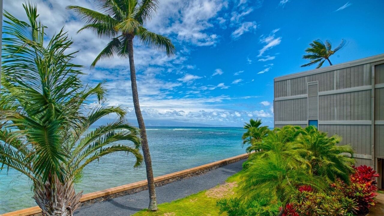 Photo of Outdoor in Kahana