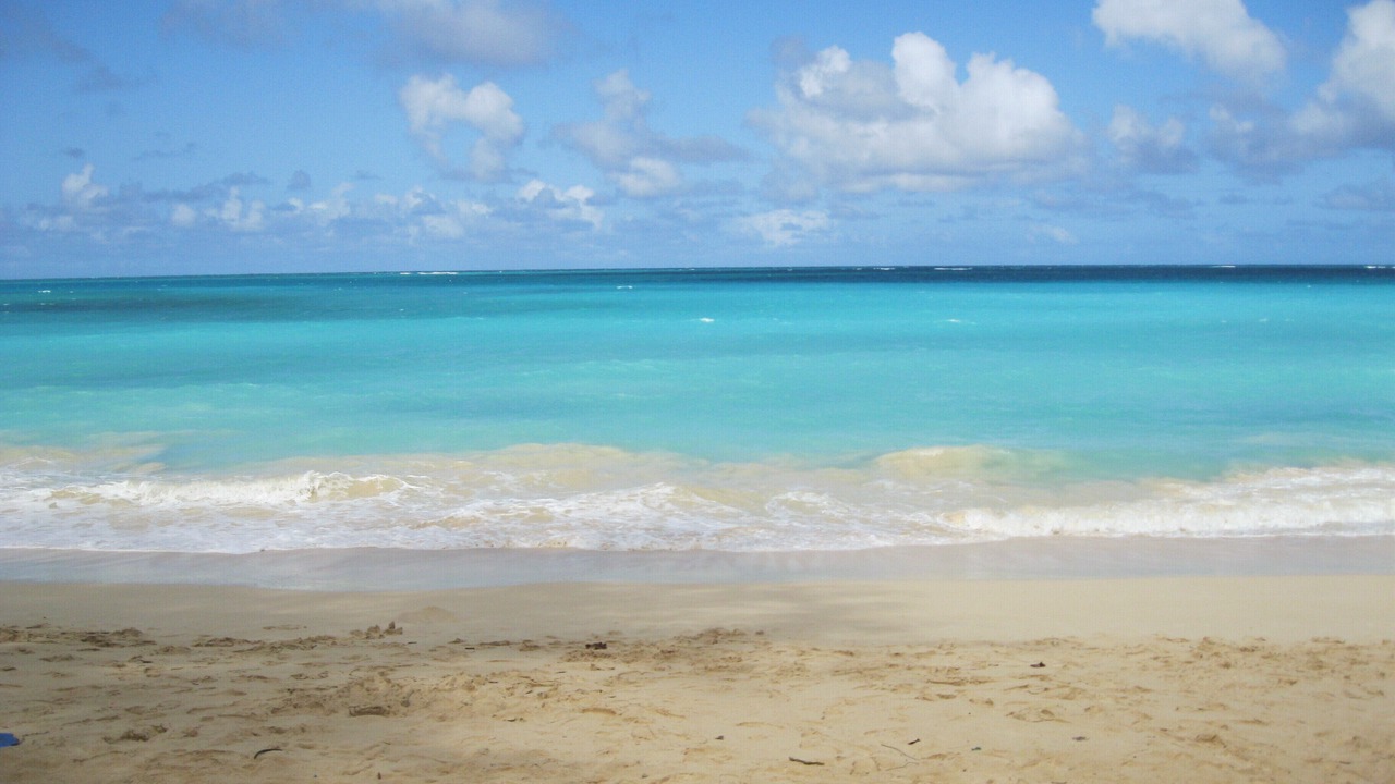 Photo of Others in Waikiki