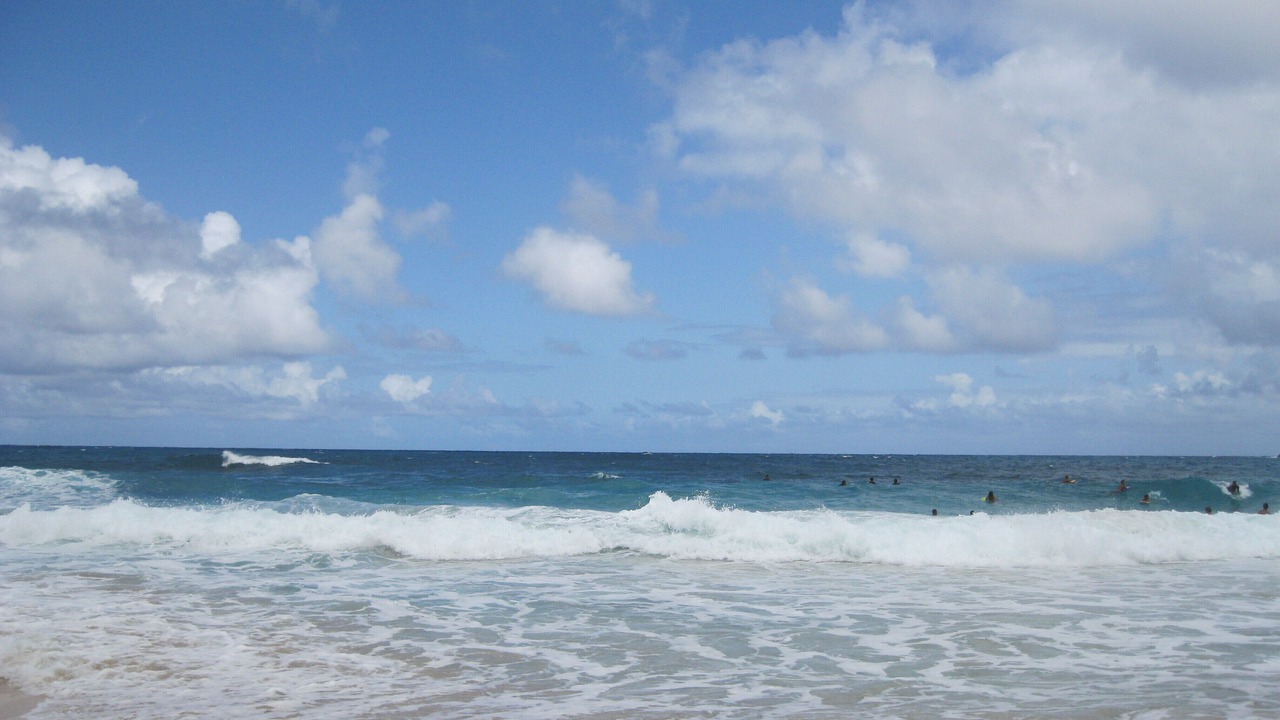 Photo of Others in Waikiki