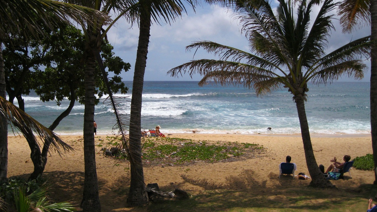 Photo of Others in Waikiki