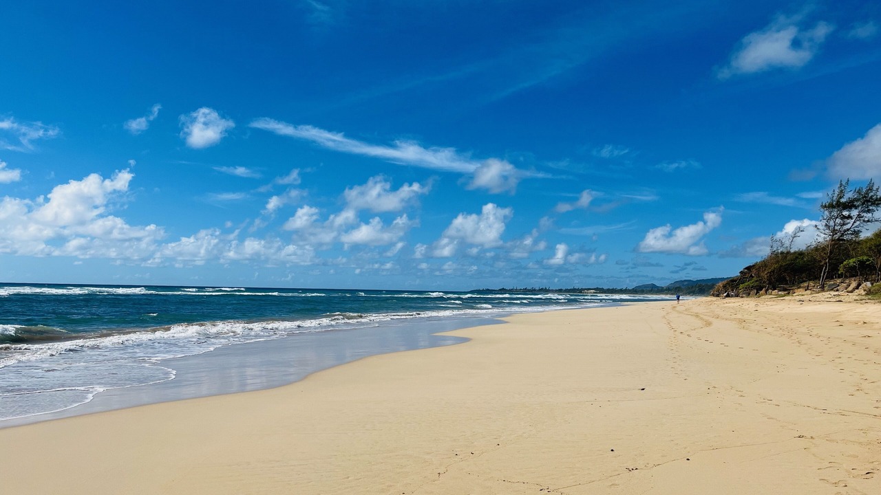 Photo of Others in Lihue