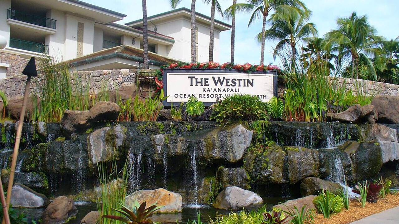Photo of Others in Kaanapali