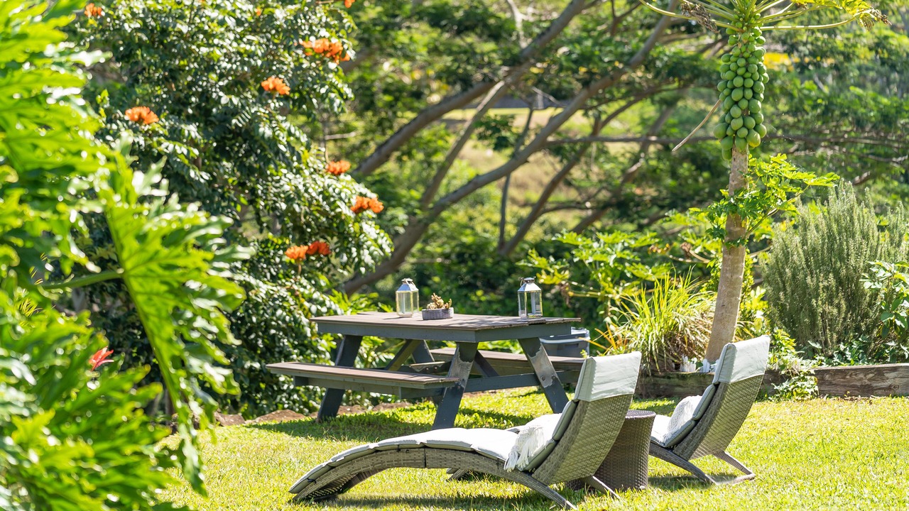 Photo of Outdoor in Pauwela