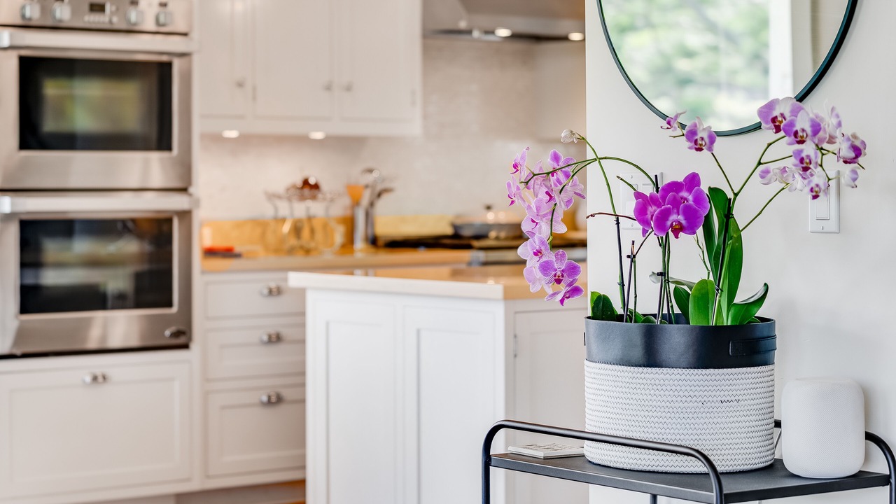 Photo of Kitchen in Pauwela