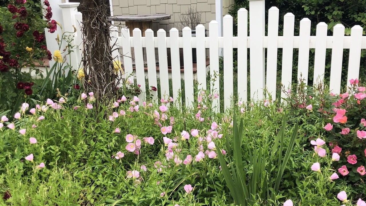 Photo of Outdoor in Dallas