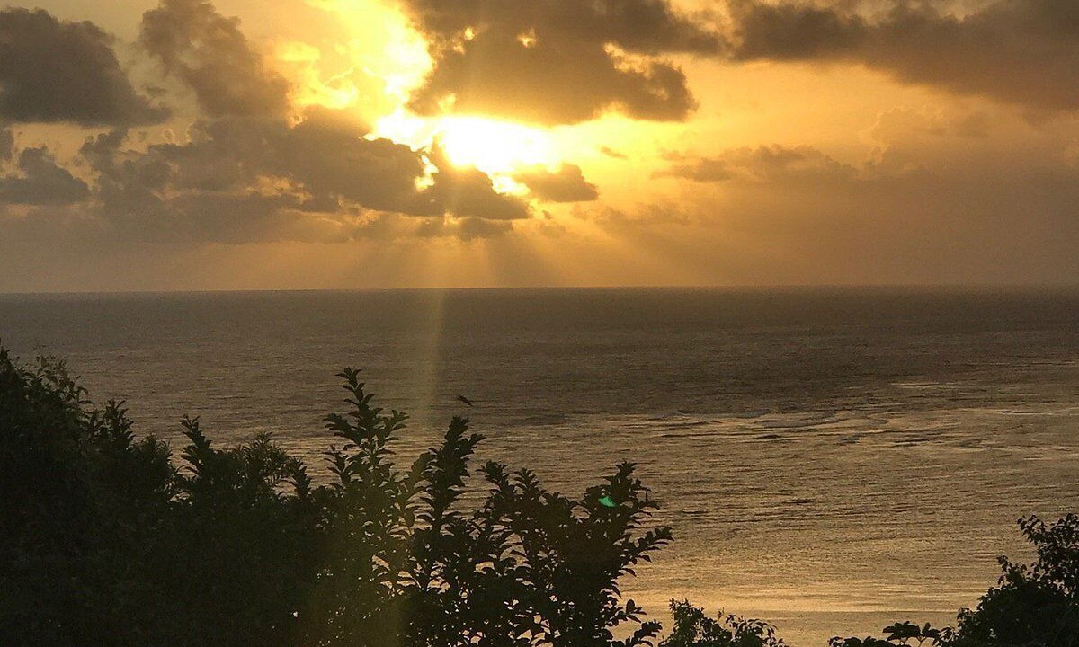 Photo of Others in Princeville