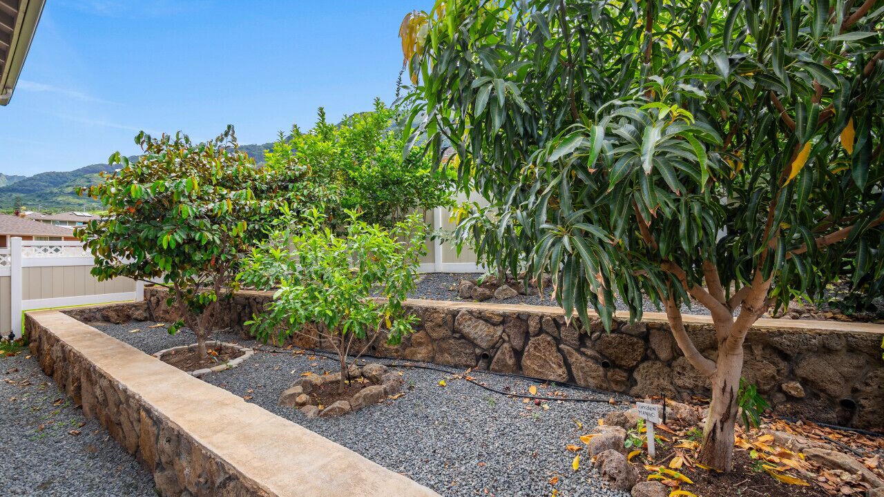 Photo of Outdoor in Makaha Valley