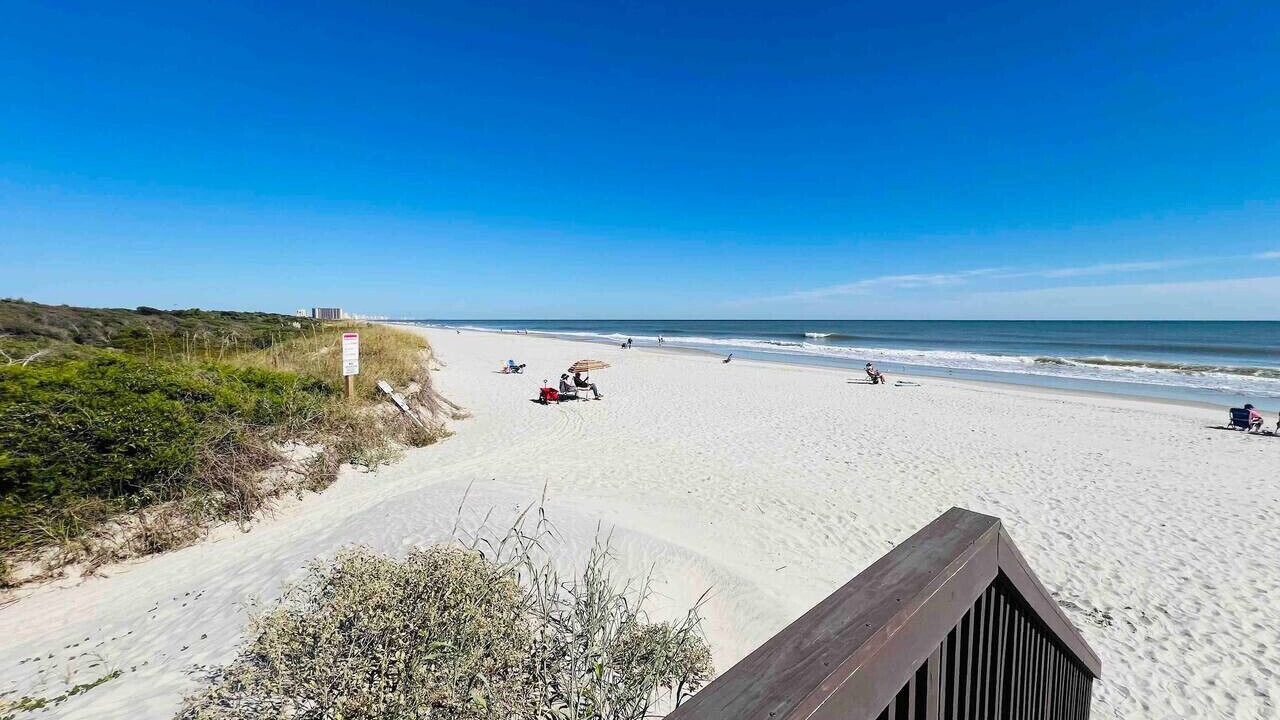 Photo of Others in Arcadian Shores