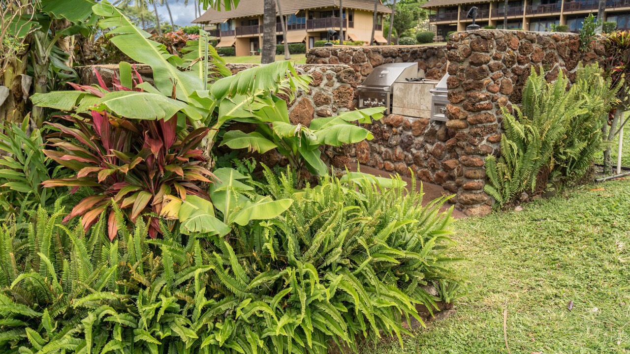 Photo of Outdoor in Maunaloa