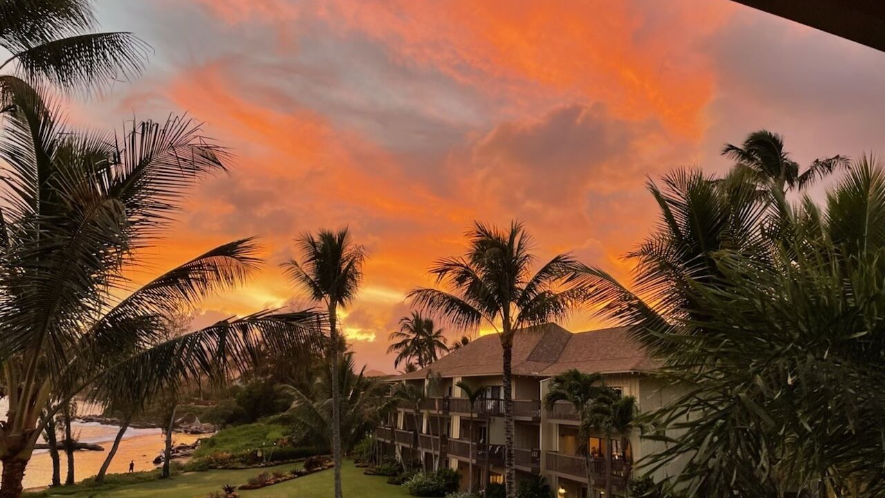 Photo of Outdoor in Kapaa
