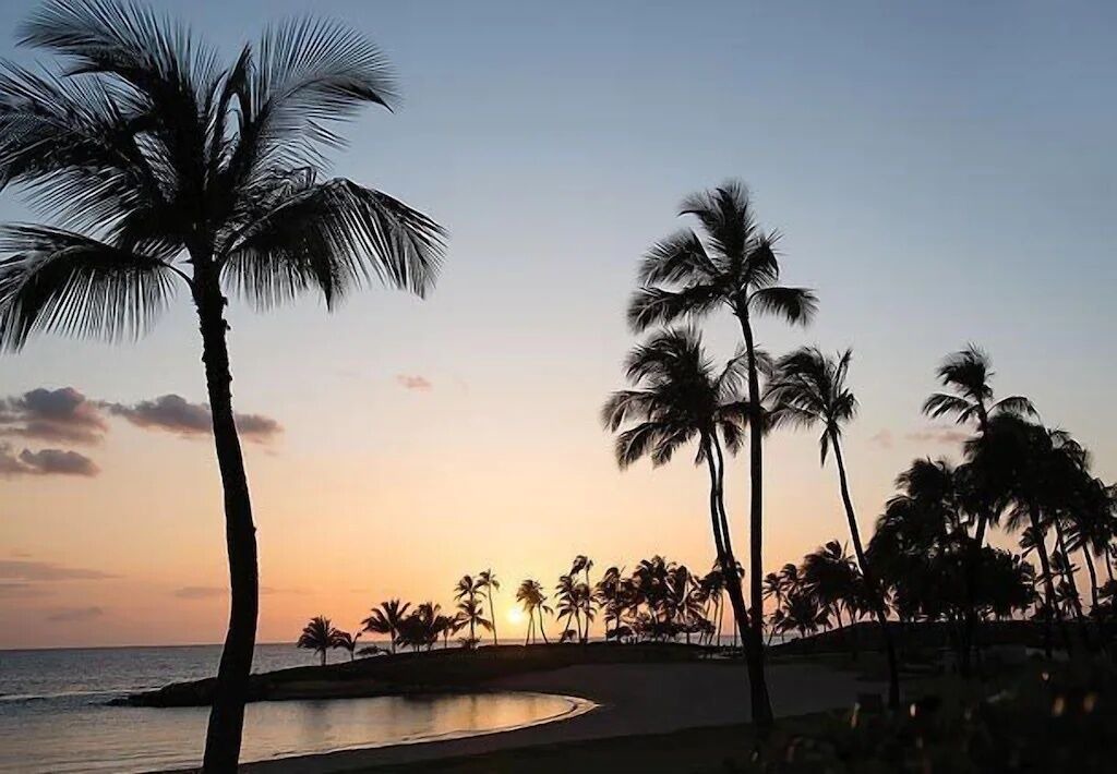 Photo of Others in Ko Olina