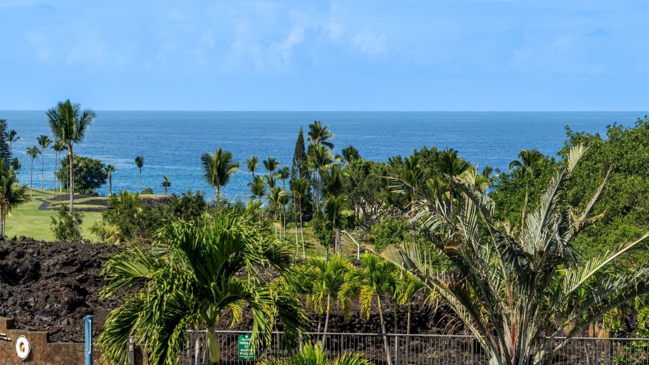 Photo of Others in Kahaluu Bay