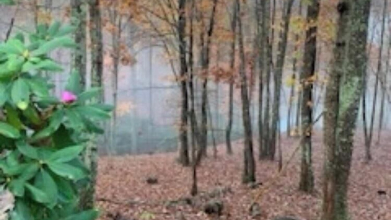 Photo of Others in Moravian Falls