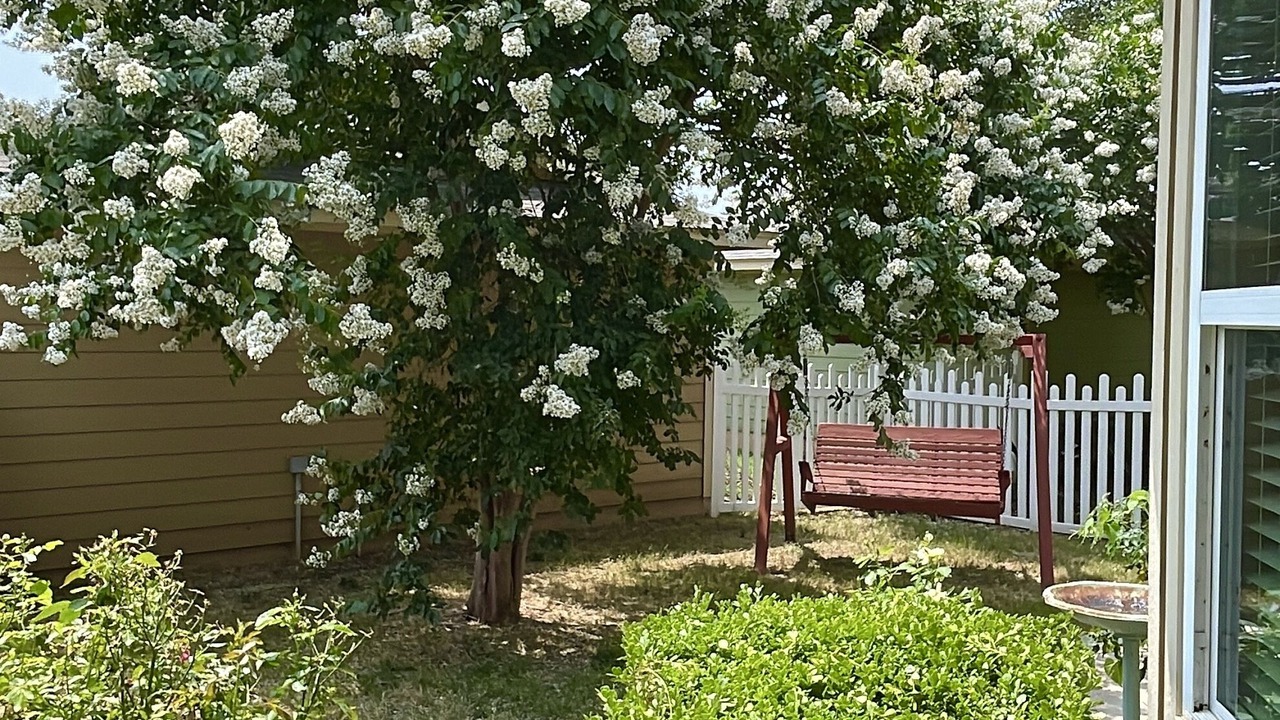 Photo of Outdoor in Round Rock Original Plat
