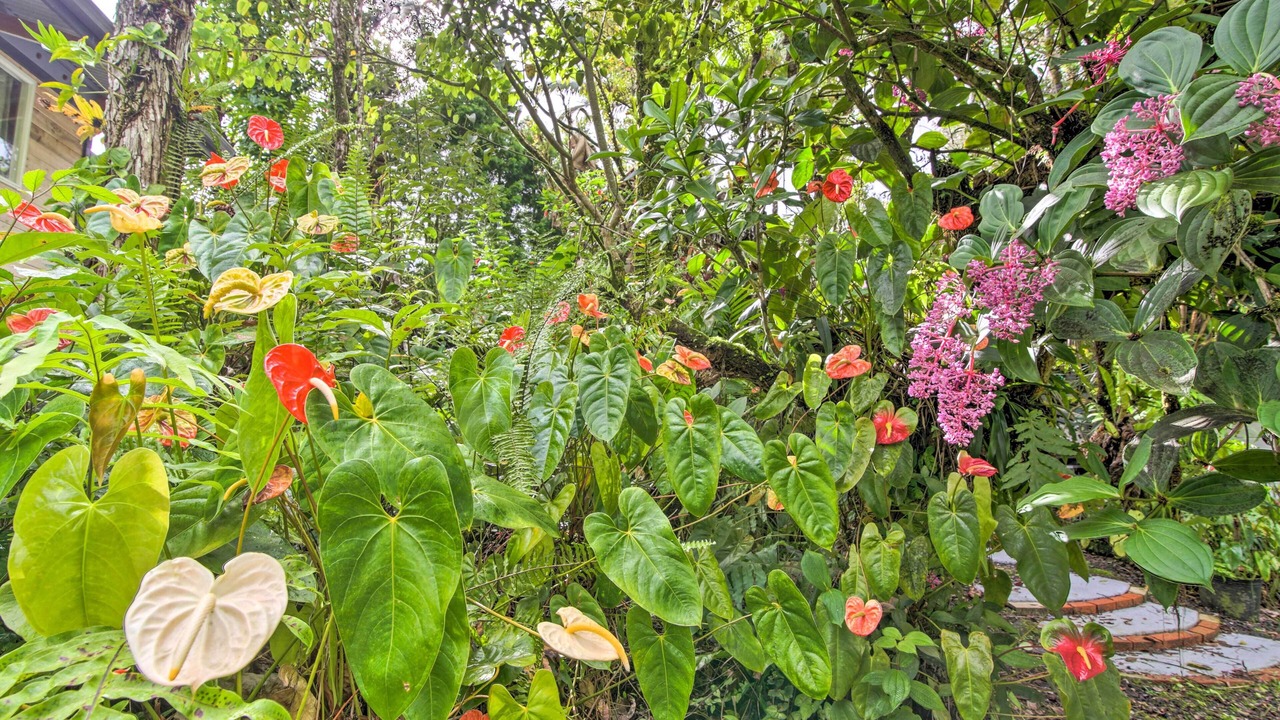 Photo of Others in Leilani Estates