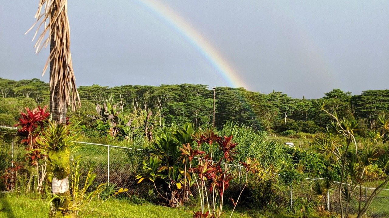 Photo of Others in Hilo