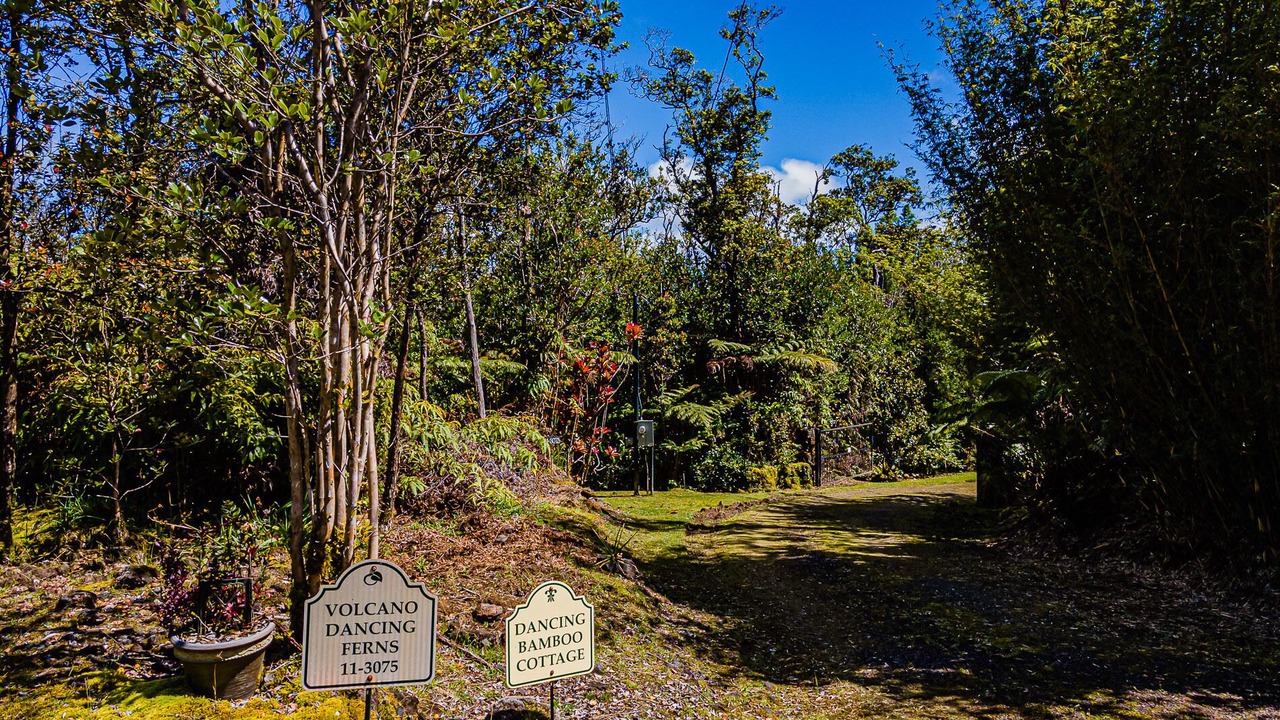 Photo of Outdoor in Royal Hawaiian Estates