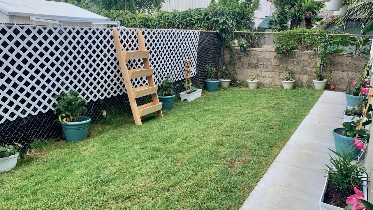 Photo of Outdoor in Coconut Grove