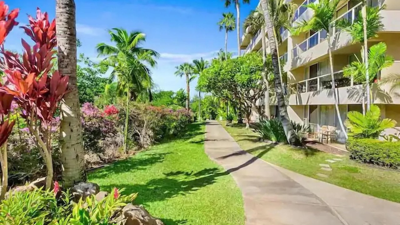 Photo of Outdoor in Kihei
