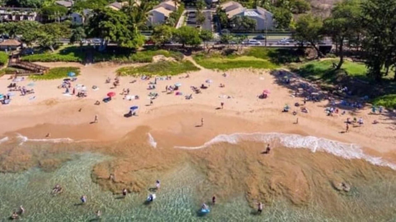 Photo of Others in Kihei