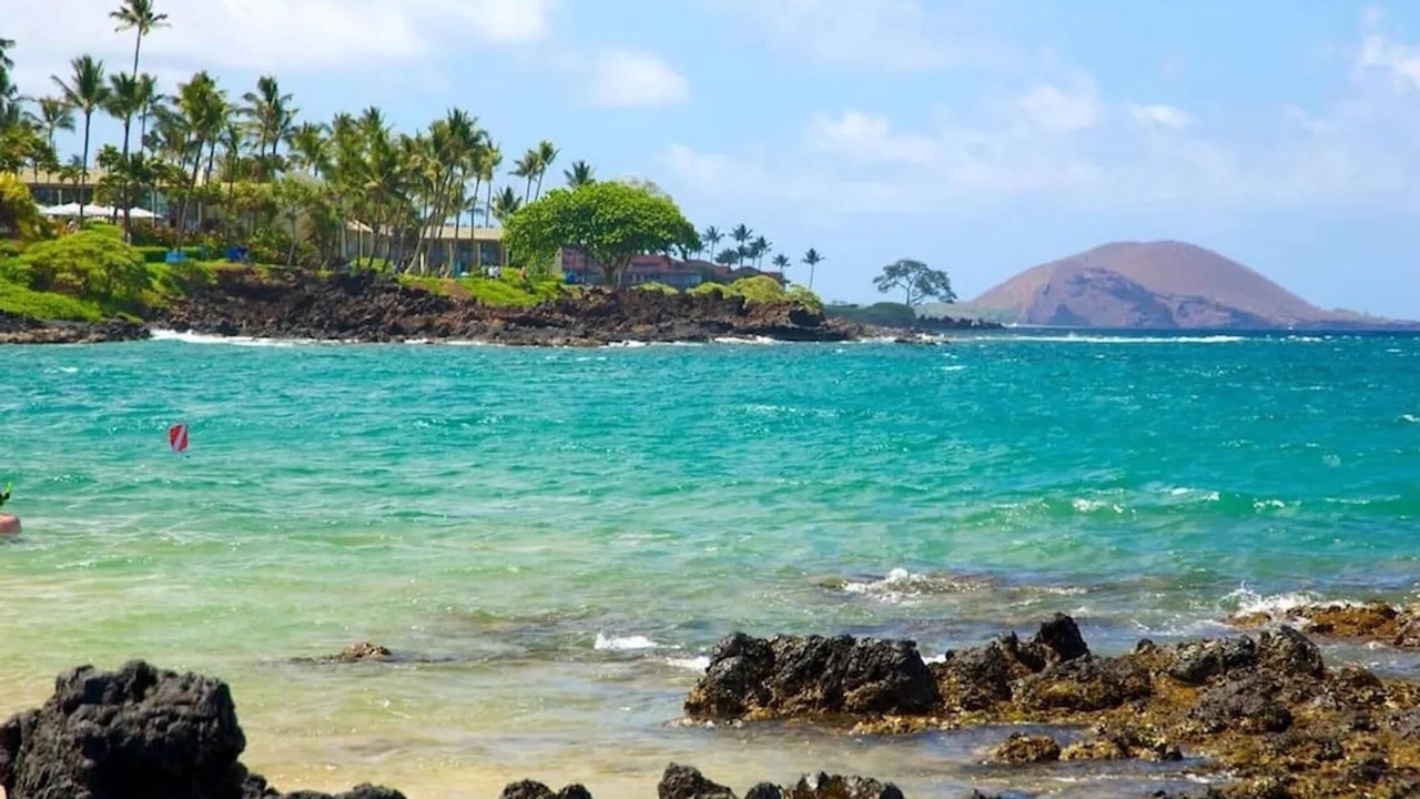 Photo of Others in Kihei