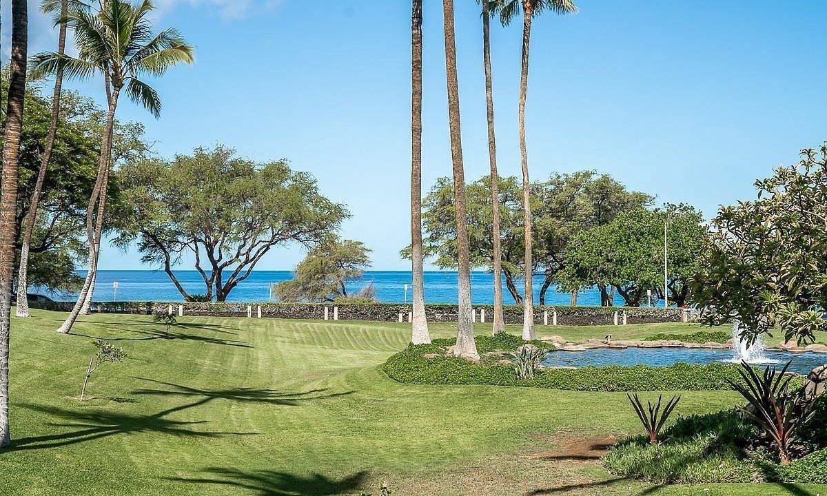 Photo of Others in Kihei