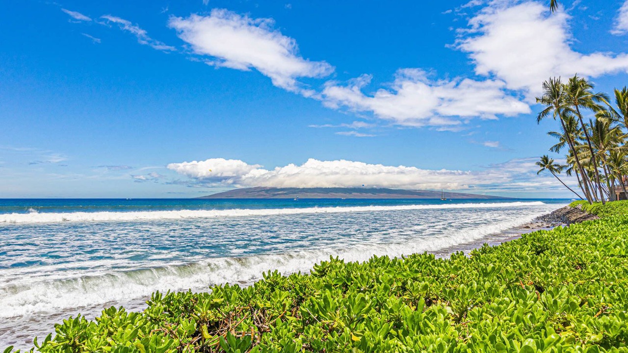 Photo of Others in Downtown Lahaina
