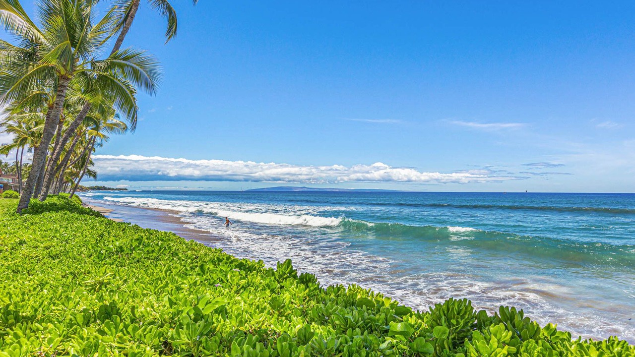 Photo of Others in Downtown Lahaina