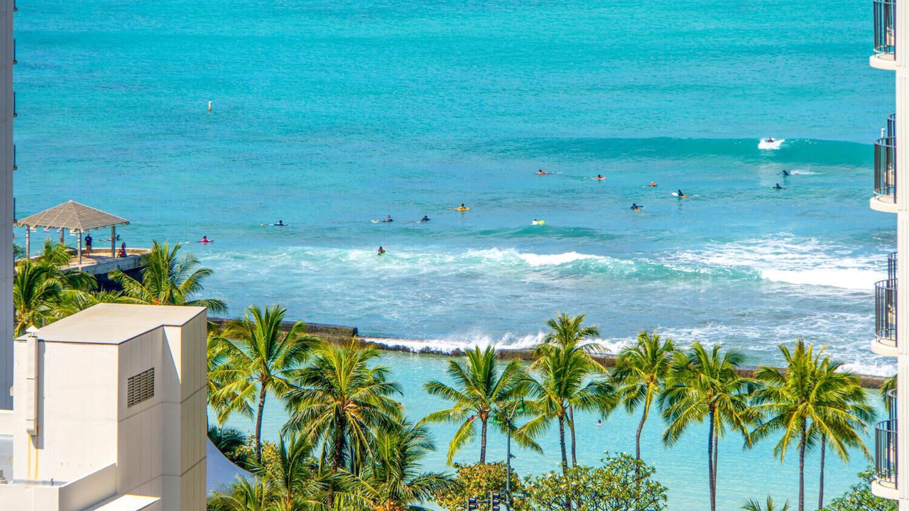Photo of Others in Waikiki
