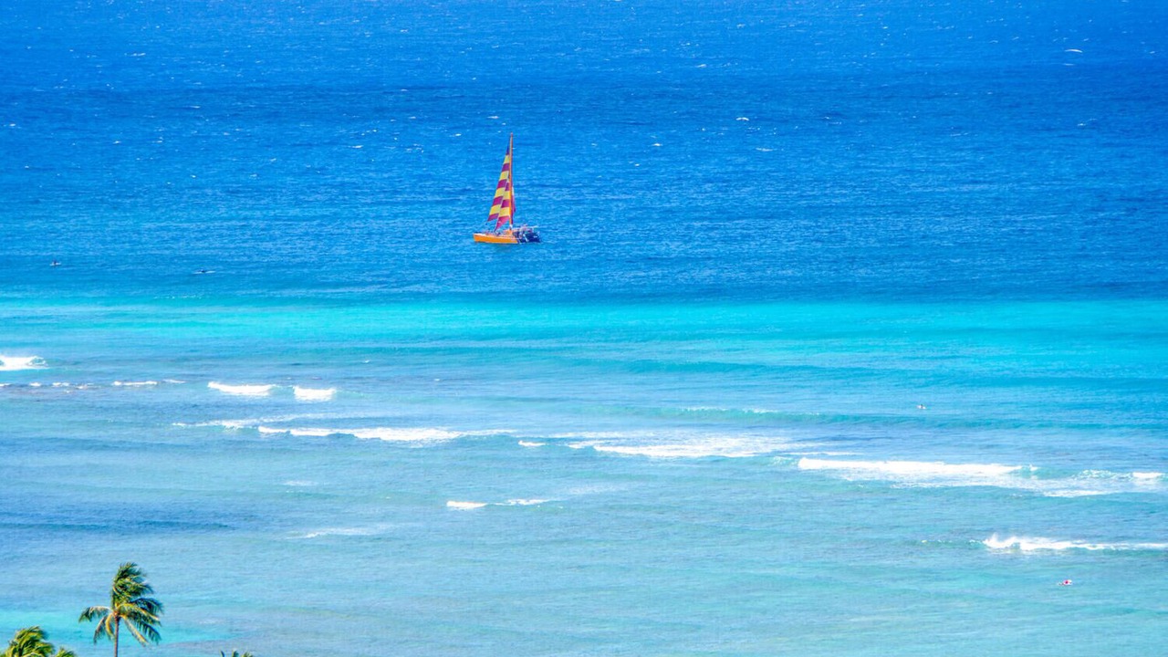 Photo of Others in Waikiki