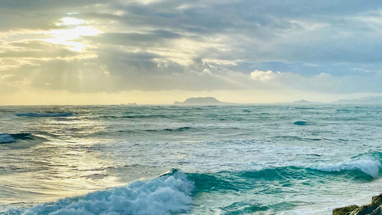 Photo of Others in Hauula