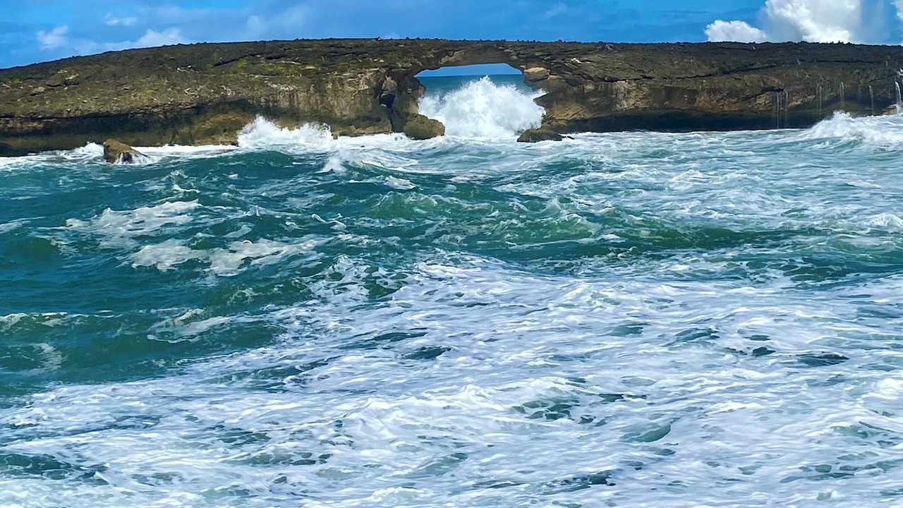 Photo of Others in Hauula