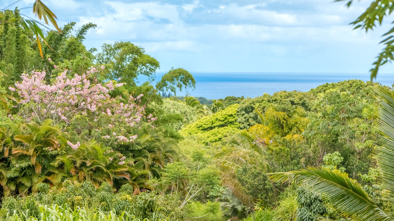 Photo of Outdoor in Kapoho