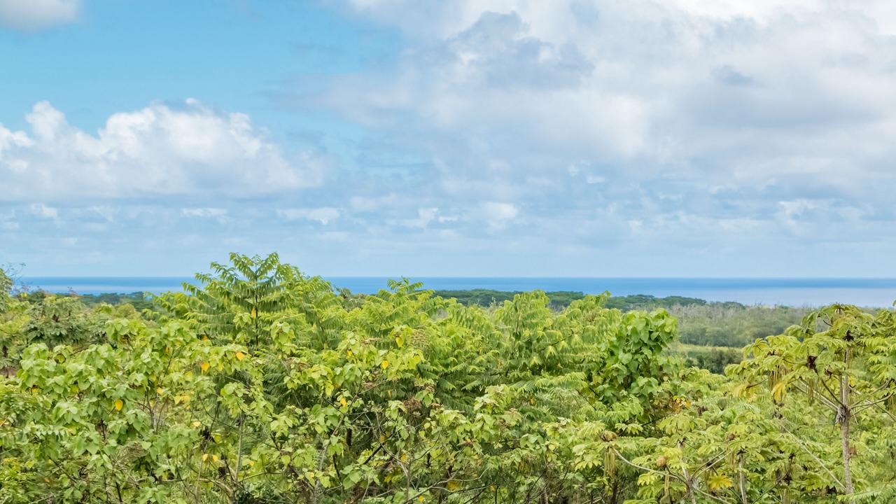 Photo of Others in Kapoho