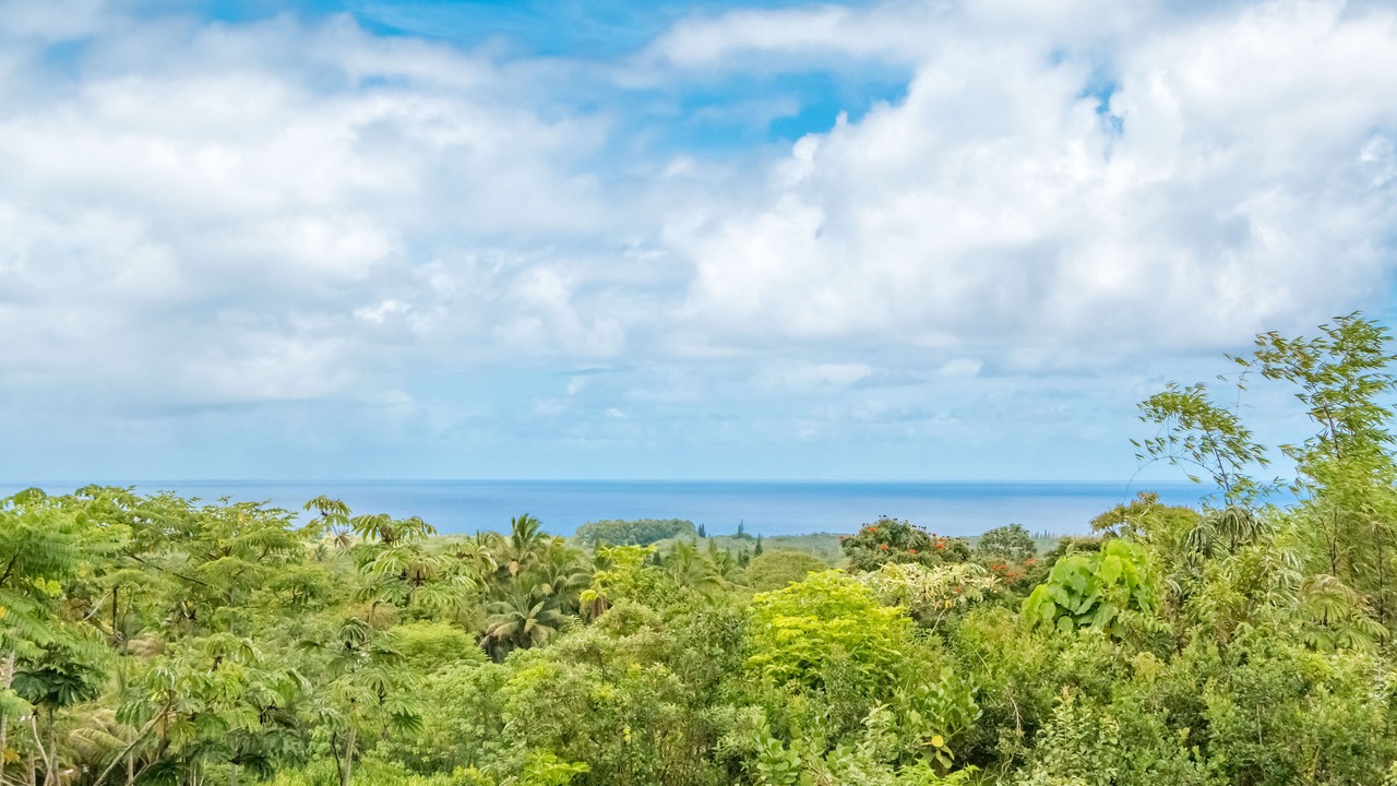 Photo of Others in Kapoho