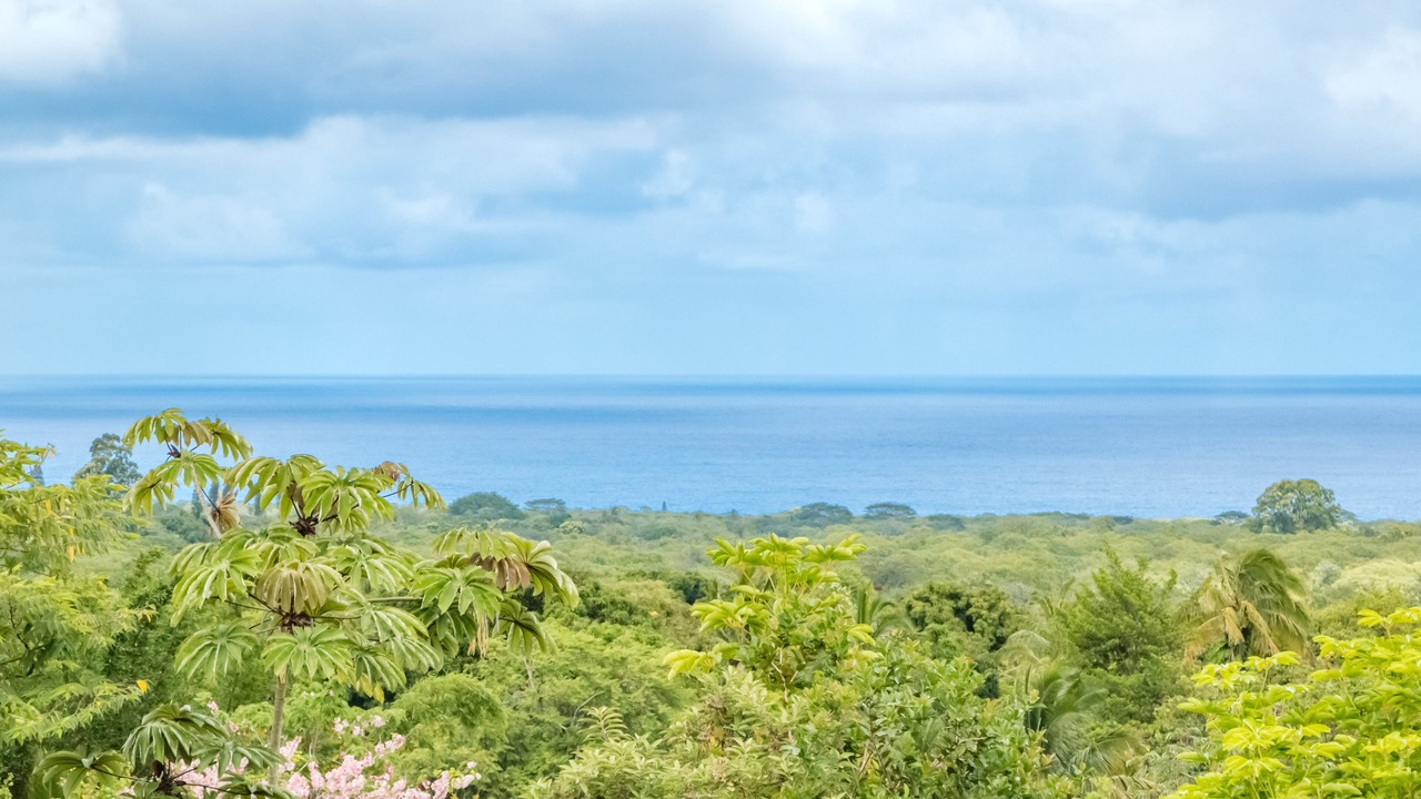 Photo of Others in Kapoho