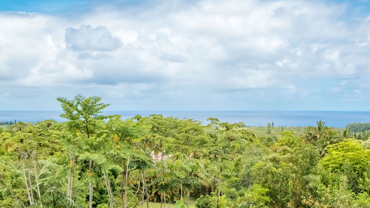 Photo of Others in Kapoho