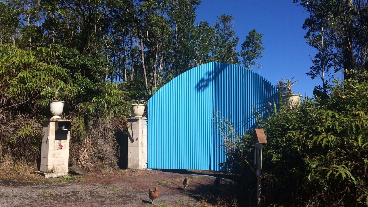 Photo of Outdoor in Fern Forest