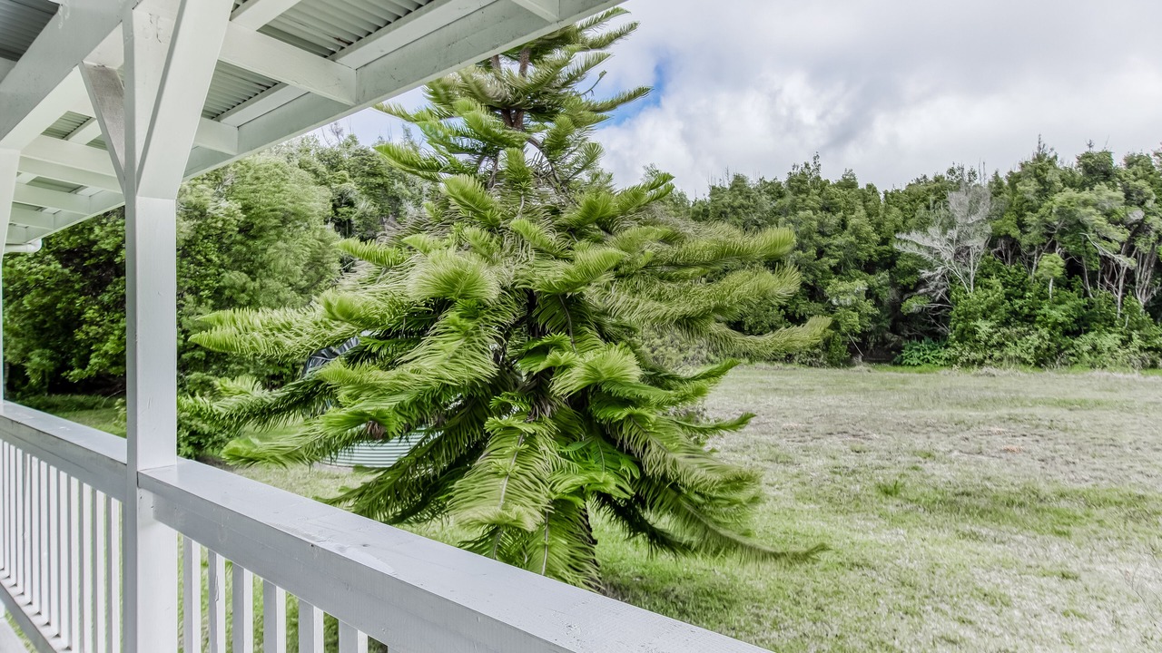 Photo of Outdoor in Volcano