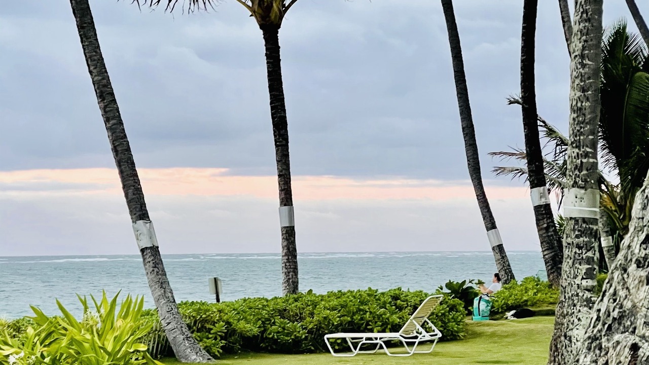 Photo of Outdoor in Punaluu