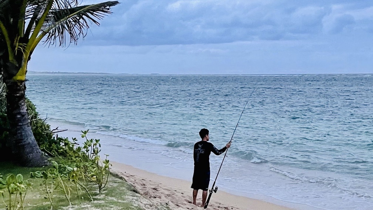 Photo of Others in Punaluu