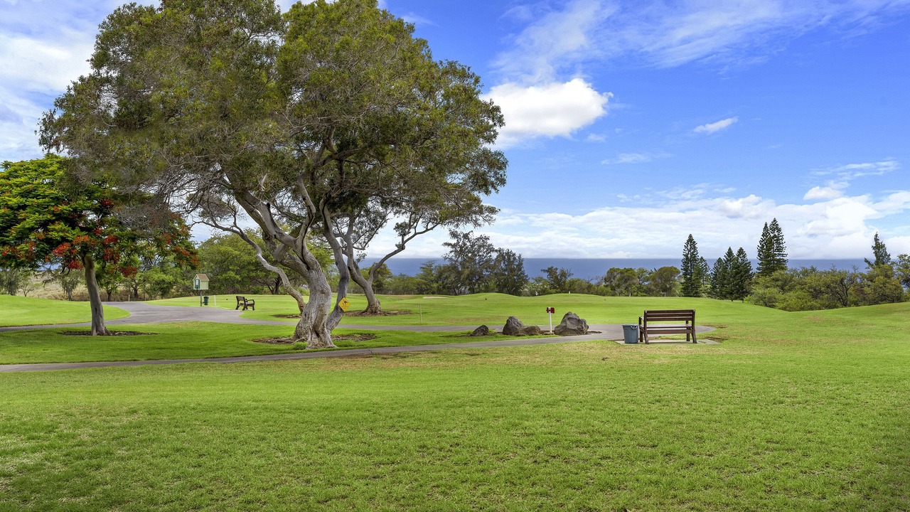 Photo of Outdoor in Waikoloa
