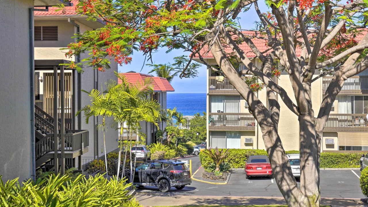 Photo of Outdoor in Historic Kailua Village