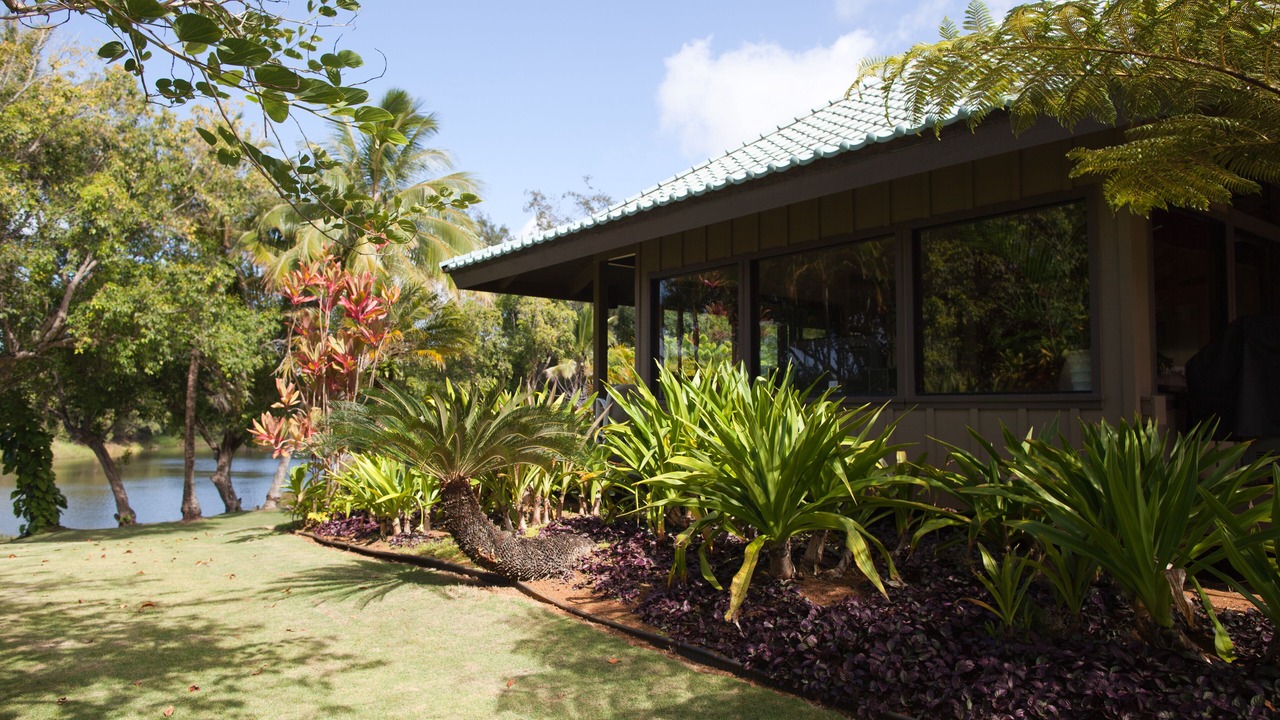 Photo of Outdoor in Kilauea