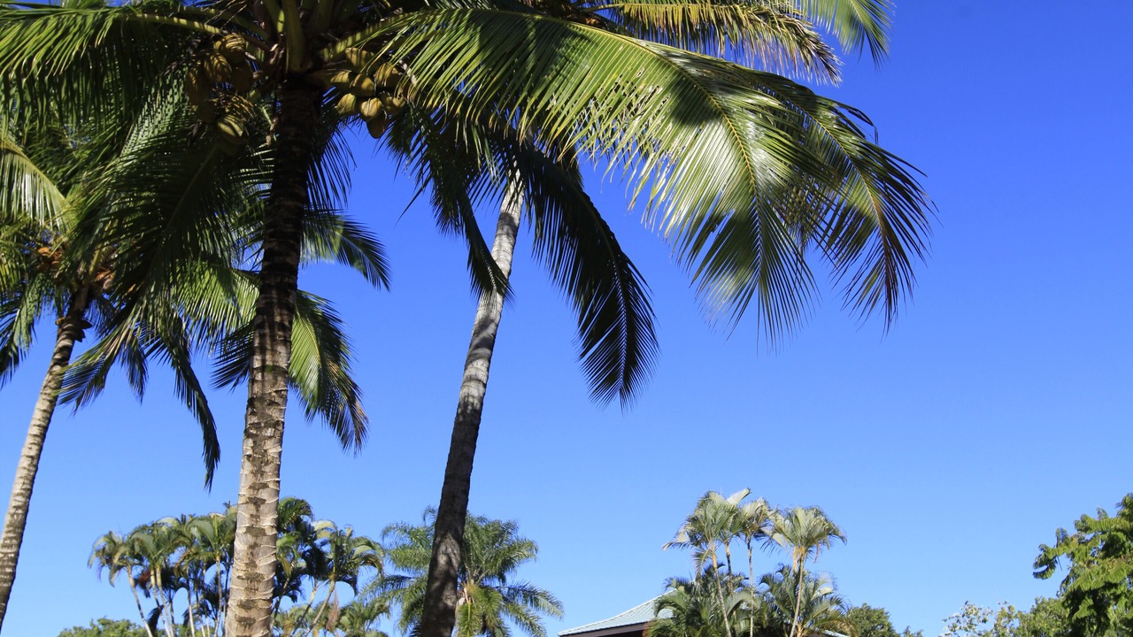 Photo of Outdoor in Kilauea