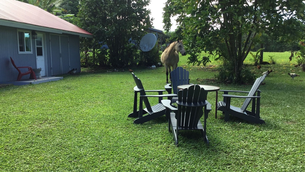 Photo of Outdoor in Hana
