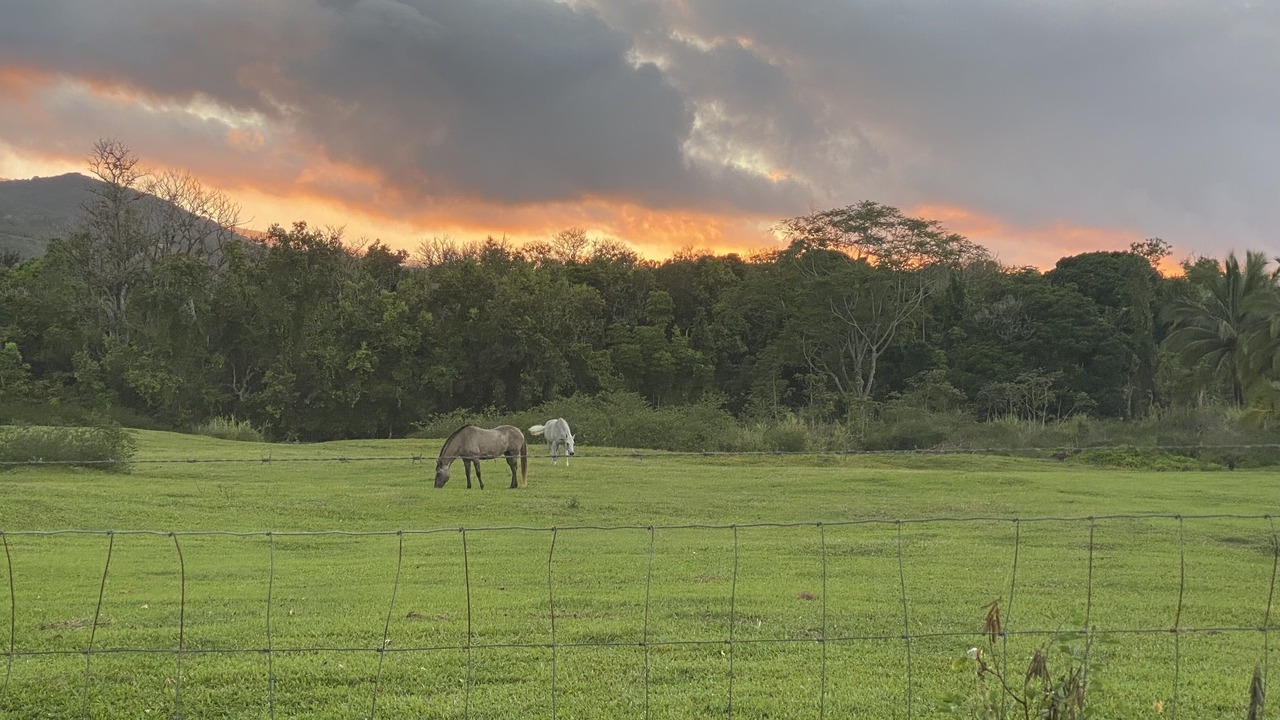 Photo of Outdoor in Hana
