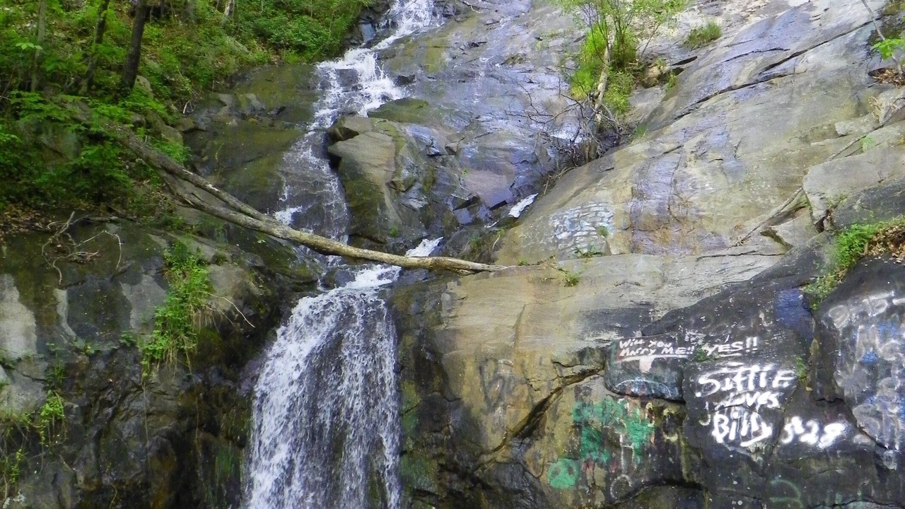 Photo of Outdoor in Lenoir