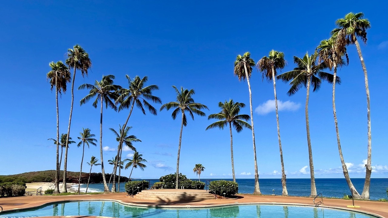 Photo of Outdoor in Maunaloa